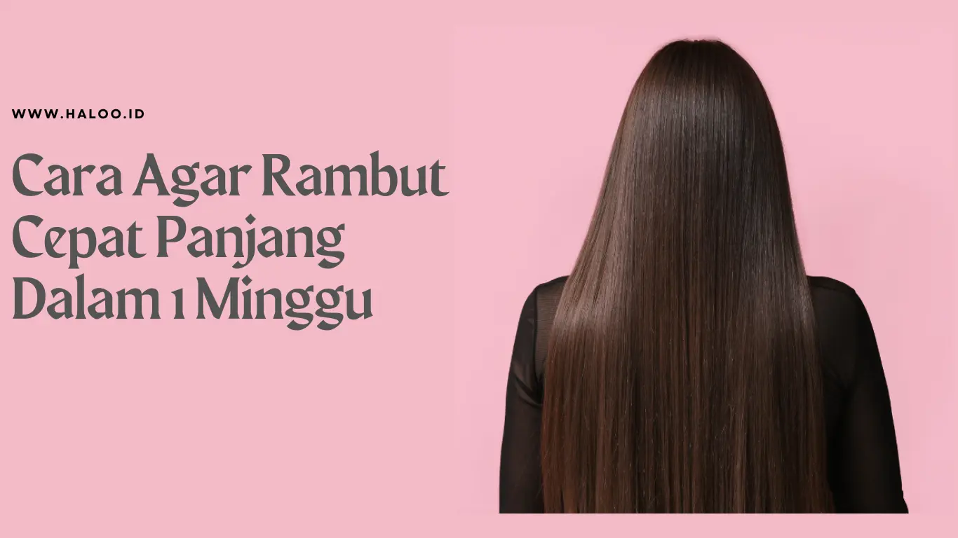 Cara Agar Rambut Cepat Panjang Dalam Minggu Haloo Id